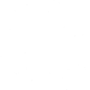 8 x 10  SS Sample Swatch BASIC BLACKOUT | CREAM