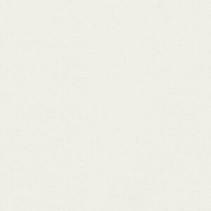 8 x 10  SS Sample Swatch SOLIDITY | COTTON