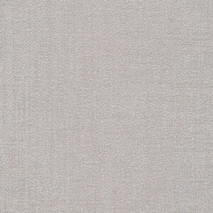 6 x 6 S. Solids Sample Swatch ALADDIN ~ SILVER