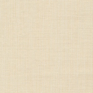 6 x 6S. Solids Sample Swatch FIRST DATE ~ IVORY