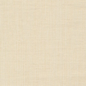 6 x 6 S. Solids Sample Swatch FIRST DATE ~ TAN