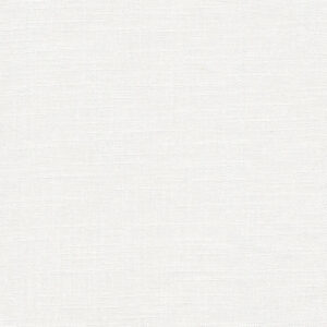 6 x 6 S. Solids Sample Swatch FOLLIES ~ SNOW WHITE