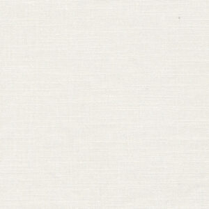 6 x 6 S. Solids Sample Swatch FOLLIES ~ WHITE