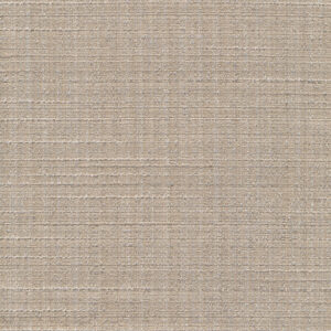 6 x 6 S. Solids Sample Swatch FUNNY GIRL ~ CAPPUCCINO