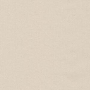 6 x 6 S. Solids Sample Swatch MAMA MIA ~ BEIGE