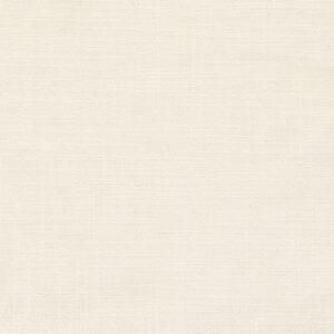 6 x 6 S. Solids Sample Swatch MAME ~ CHAMPAGNE