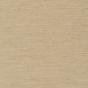 6 x 6 S. Solids Sample Swatch RIVERDANCE ~ SAND