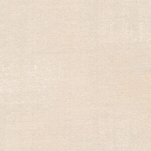 6 x 6 S. Solids Sample Swatch SISTER ACT ~ CHAMPAGNE