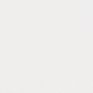 8x10  Lining  Sample Swatch Voile Champagne