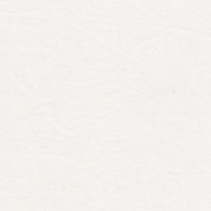 8x10  Lining  Sample Swatch Interlining White