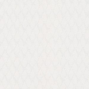 8 x 10 Sample Swatch   TRELLIS PRIVACY | WHITE