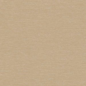 8 x 10 Sample Swatch MIA BLACKOUT | ALMOND