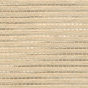 5 X 9 NWS Sample Swatch Calcutta :: Tan