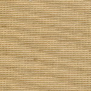 5 X 9 NWS Sample Swatch Jakarta :: Gold Coast