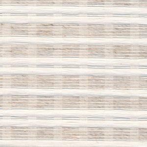 5 X 9 NWS Sample Swatch Jinshi :: Cloud