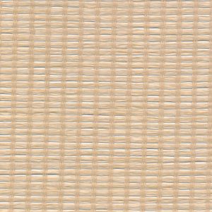 5 X 9 NWS Sample Swatch Kalani :: Natural