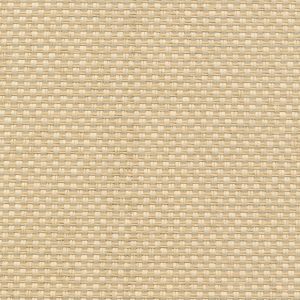 5 X 9 NWS Sample Swatch Khiri :: Bone