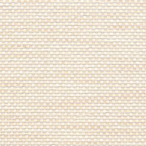 5 X 9 NWS Sample Swatch Khiri :: Eggshell