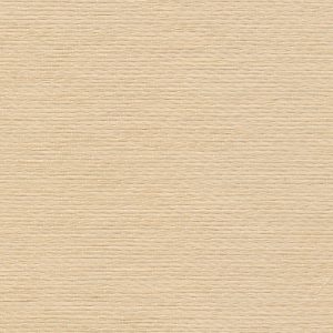 5 X 9 NWS Sample Swatch Kona :: Greige