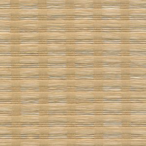 5 X 9 NWS Sample Swatch Seoul :: Desert